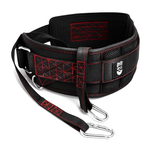 THEFITGUY Ultimate Dip Belt | Secure Closure - No Sliding Down | Structured Back Support | 45-Angle Rings - Comfort Dip Position | 40” Strap & 2 Snap Hooks - for Dips, Pull Ups, Squats, Weight Lifting - Image 1