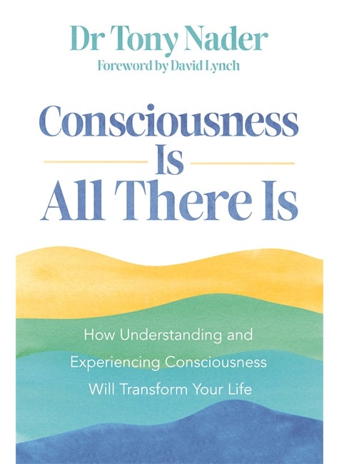 null - Consciousness Is All There Is - Image 1