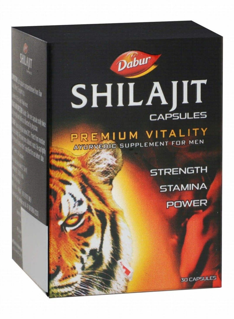 Dabur Shilajit 30 Caps - Image 1