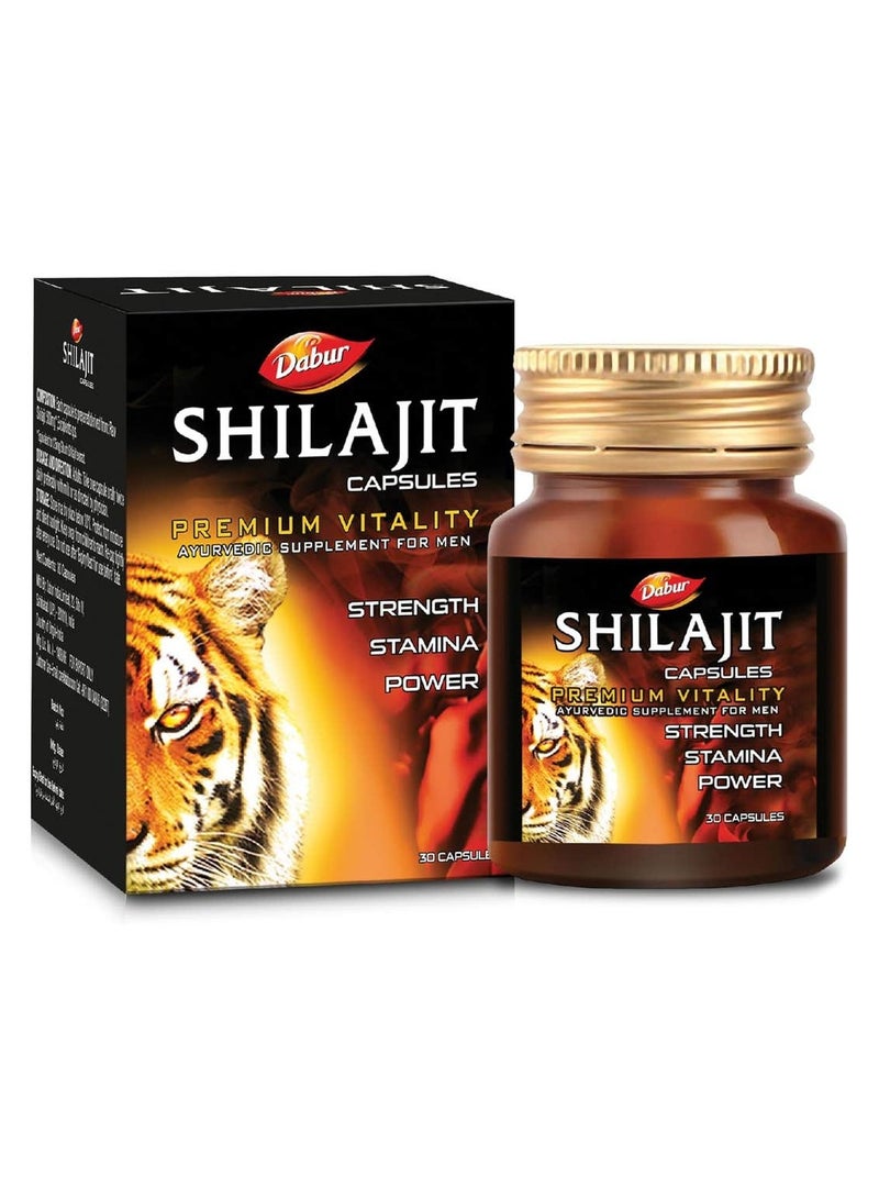 Dabur Shilajit 30 Caps - Image 4