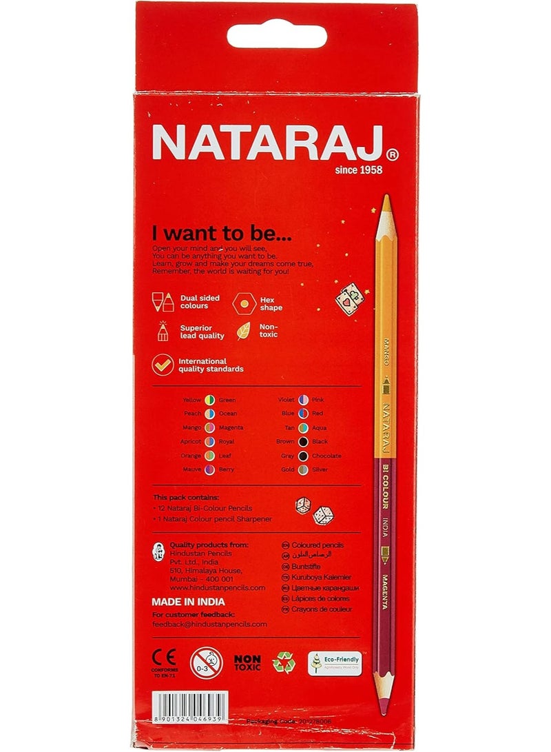 ناتاراج أقلام تلوين ناتاراج ثنائية اللون سداسية الشكل، 12 قطعة - Image 4