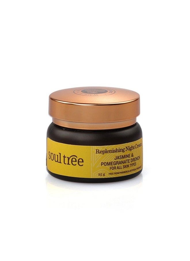 SOULTREE Replenishing Night Cream Jasmine & Pomegranate Drench 25Gm  - Image 1