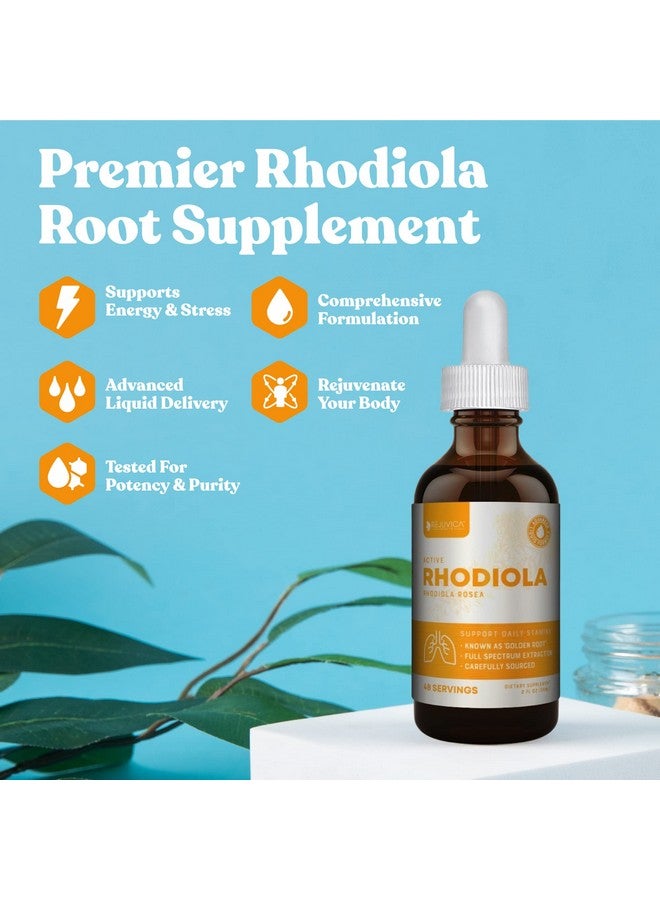 Rejuvica Health Active Rhodiola - Rhodiola Root Extract with Natural Rosavins - Liquid Delivery for Better Absorption - Supports Energy & Stress  - Image 2