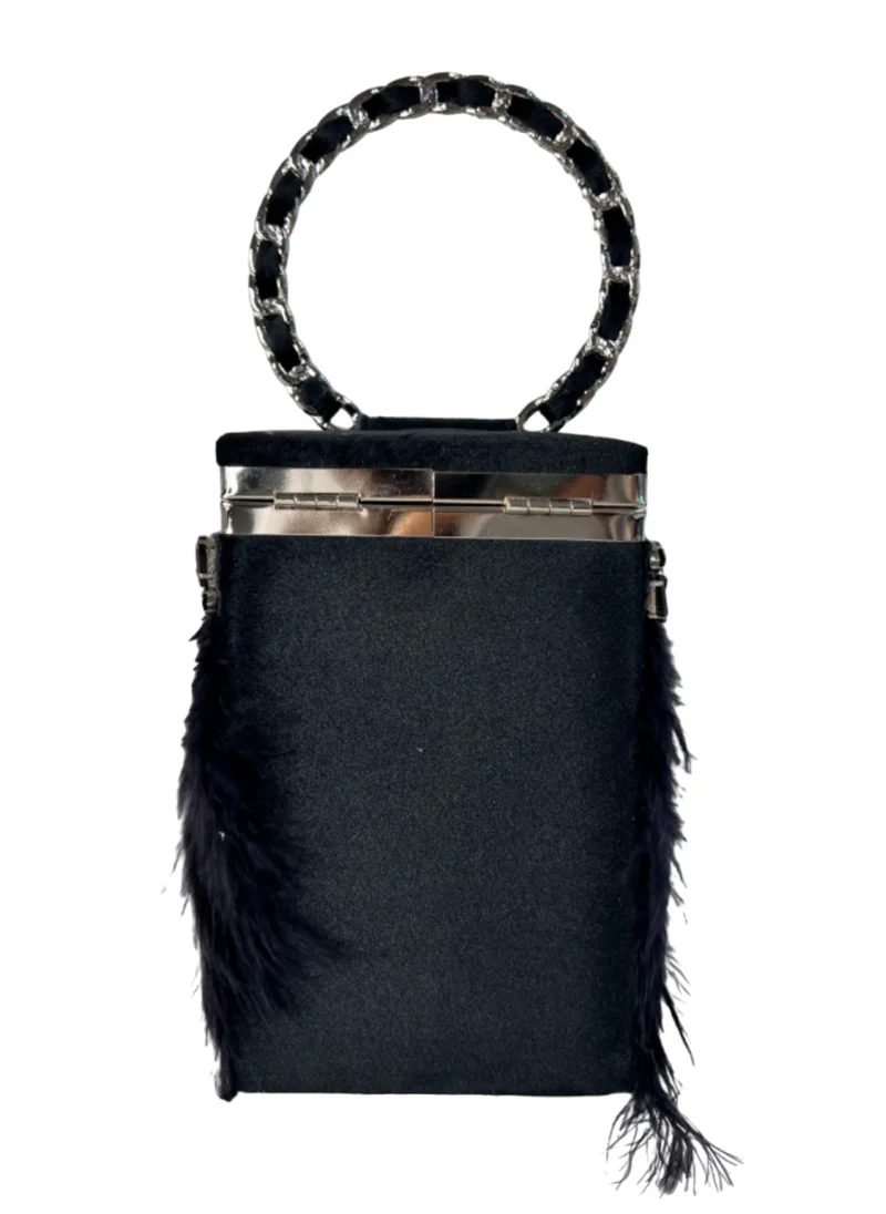 براثن هارشا الرائعة Ring Feather Box Clutch