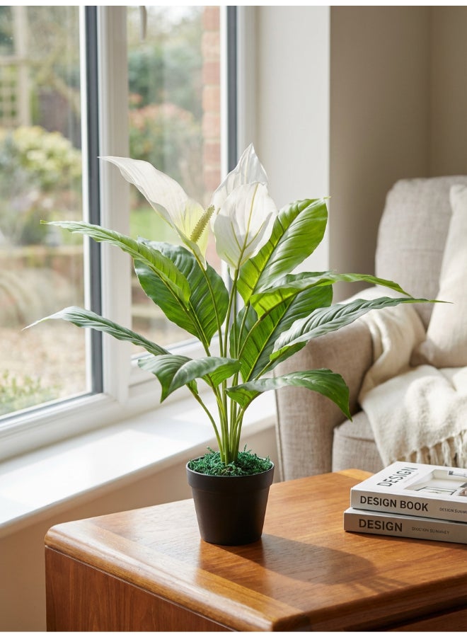 Noon East Anthuirum 55cm Tall Artificial Plant with Pot | Desk Plant with Lifelike Design & Texture - Green & White Leaves | Decorative Natural Texture Plant for Home, Living Room, Study & Office spaces - Image 1