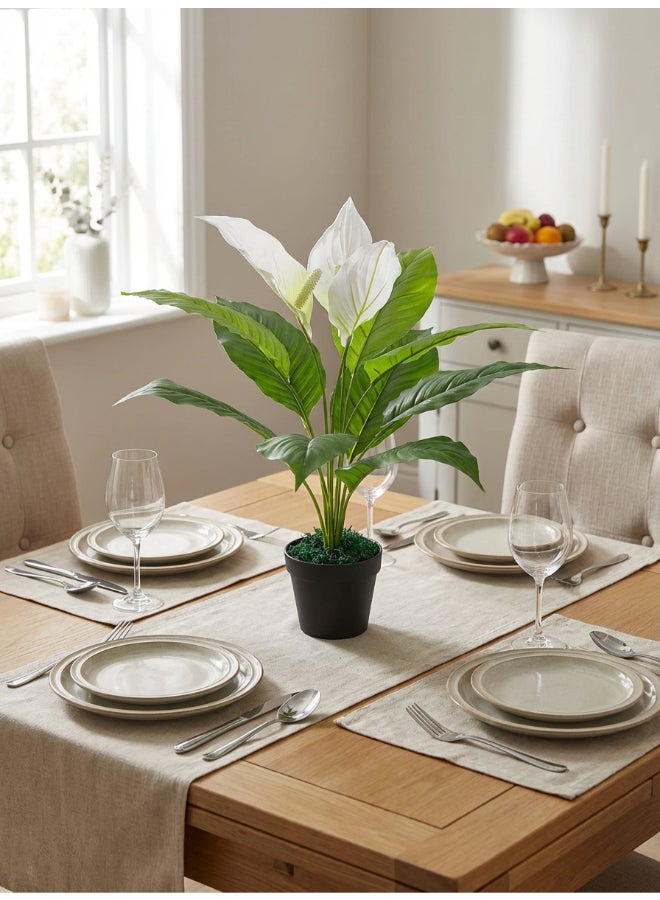 Noon East Anthuirum 55cm Tall Artificial Plant with Pot | Desk Plant with Lifelike Design & Texture - Green & White Leaves | Decorative Natural Texture Plant for Home, Living Room, Study & Office spaces - Image 3