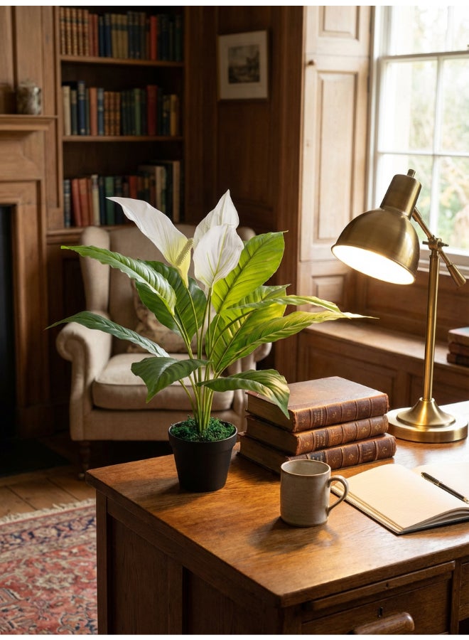 Noon East Anthuirum 55cm Tall Artificial Plant with Pot | Desk Plant with Lifelike Design & Texture - Green & White Leaves | Decorative Natural Texture Plant for Home, Living Room, Study & Office spaces - Image 4