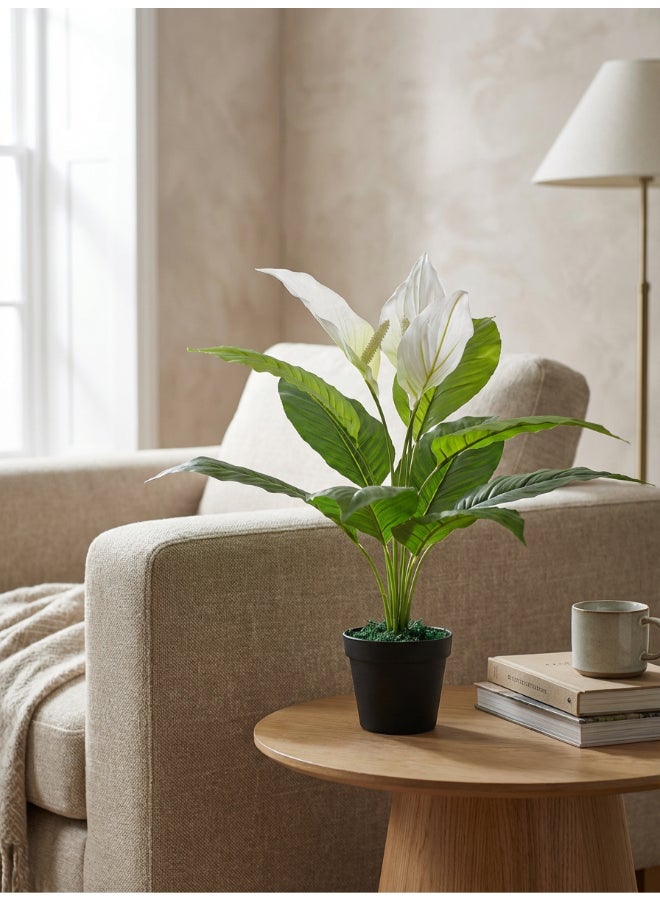 Noon East Anthuirum 55cm Tall Artificial Plant with Pot | Desk Plant with Lifelike Design & Texture - Green & White Leaves | Decorative Natural Texture Plant for Home, Living Room, Study & Office spaces - Image 2