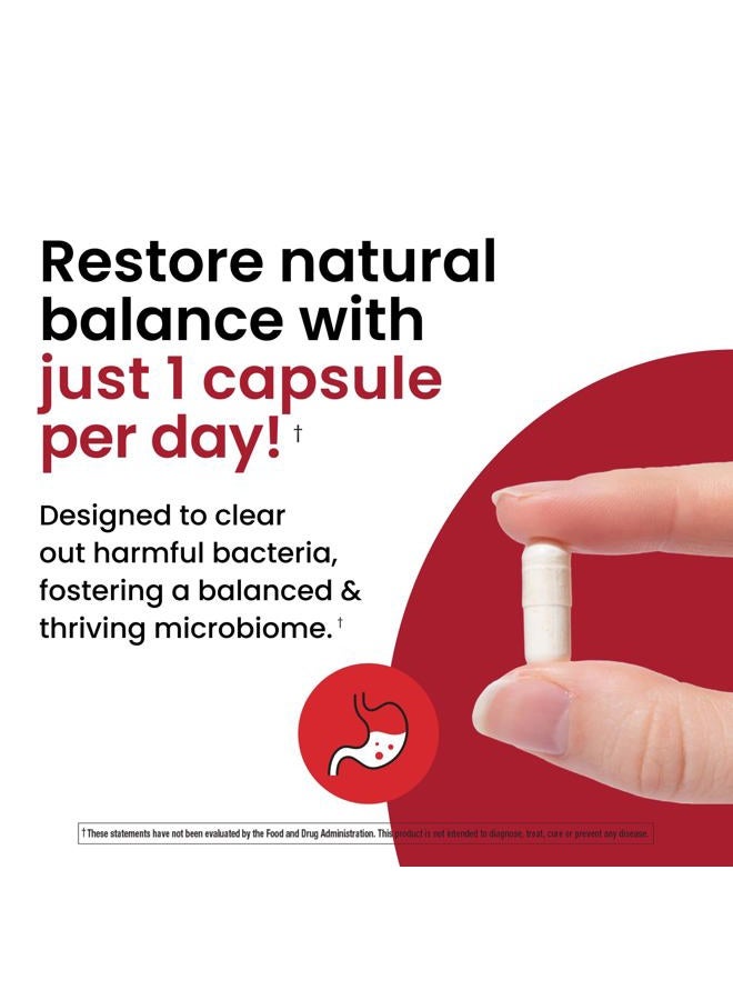 ombre 3-in-1 Probiotic, Prebiotic & Postbiotic for Digestive Health & Gut Health 45 Billion CFU Bloa - Image 5