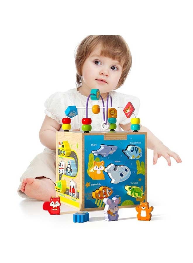 6 in 1 Toddler Wooden Cube, Montessori Sensory Activity Board Toys, Multifunctional Maze Game Shape Matching Toys