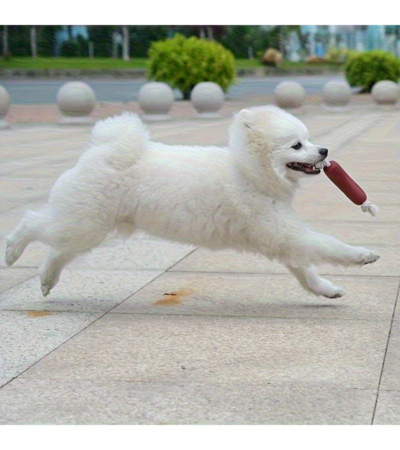 1 Random Style Interactive Dog Chew Toy For Sausage Shaped Puppy Training Puppy Chewing - Image 2
