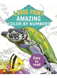Amazing color by numbers large print 