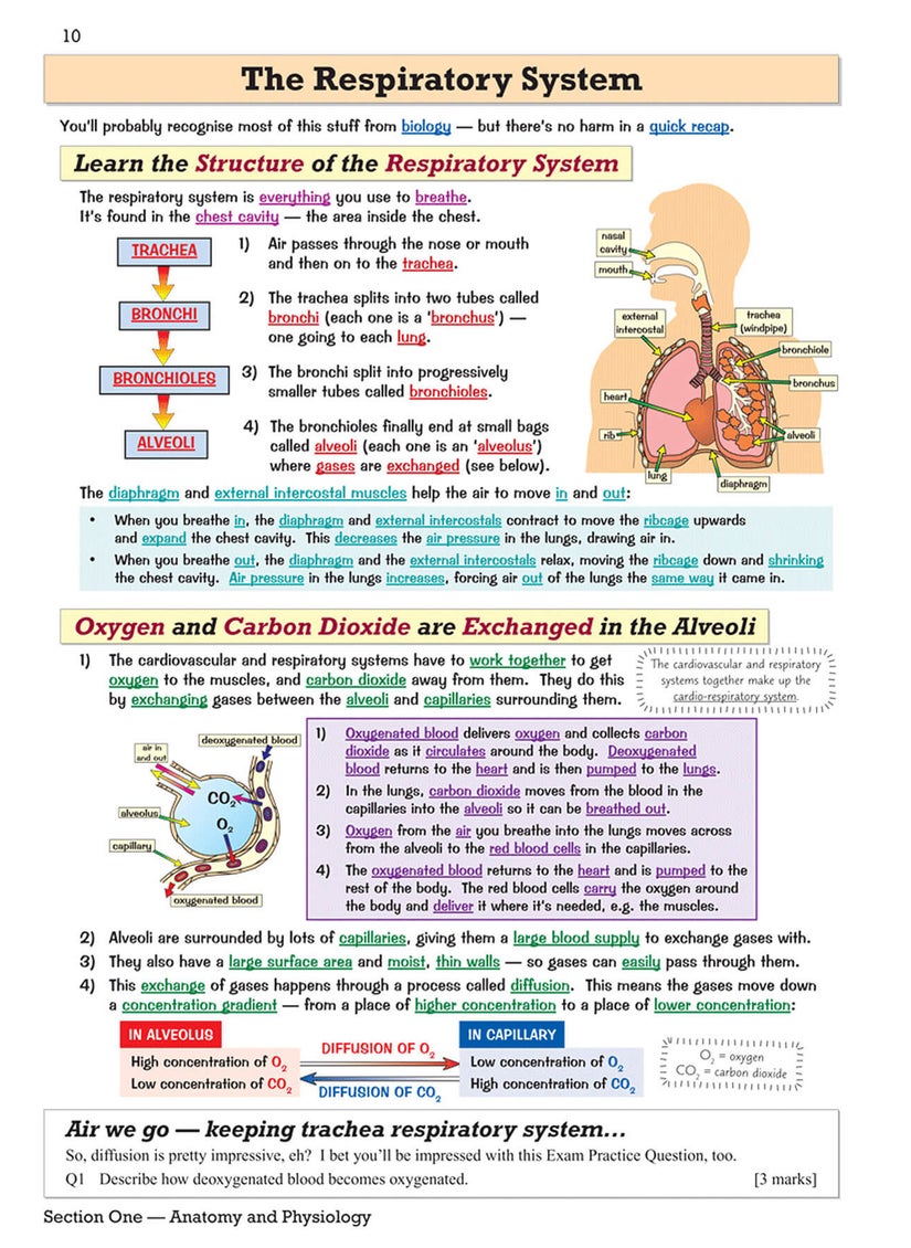 null - GCSE Physical Education Revision Guide - Image 1