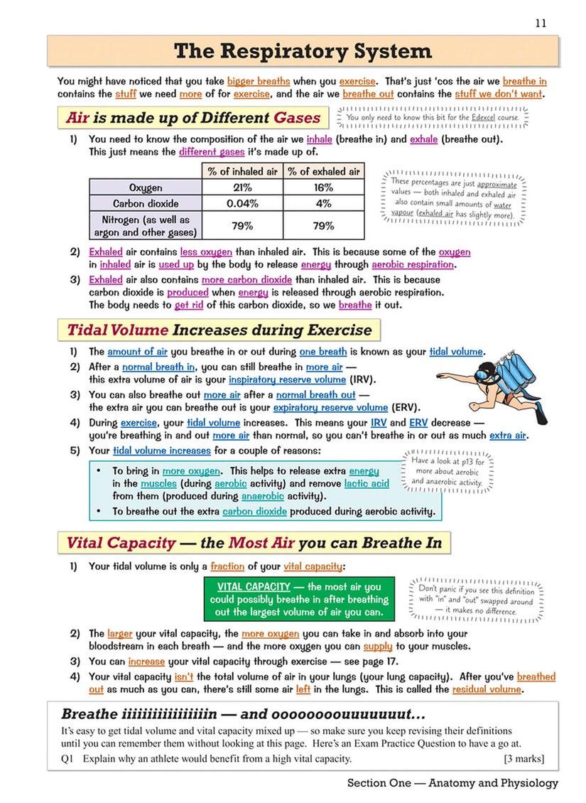 null - GCSE Physical Education Revision Guide - Image 1