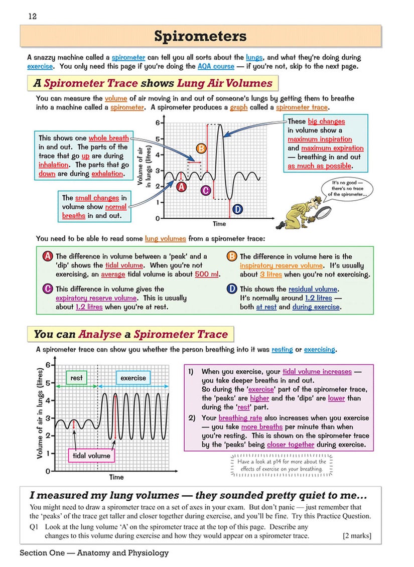 null - GCSE Physical Education Revision Guide - Image 1