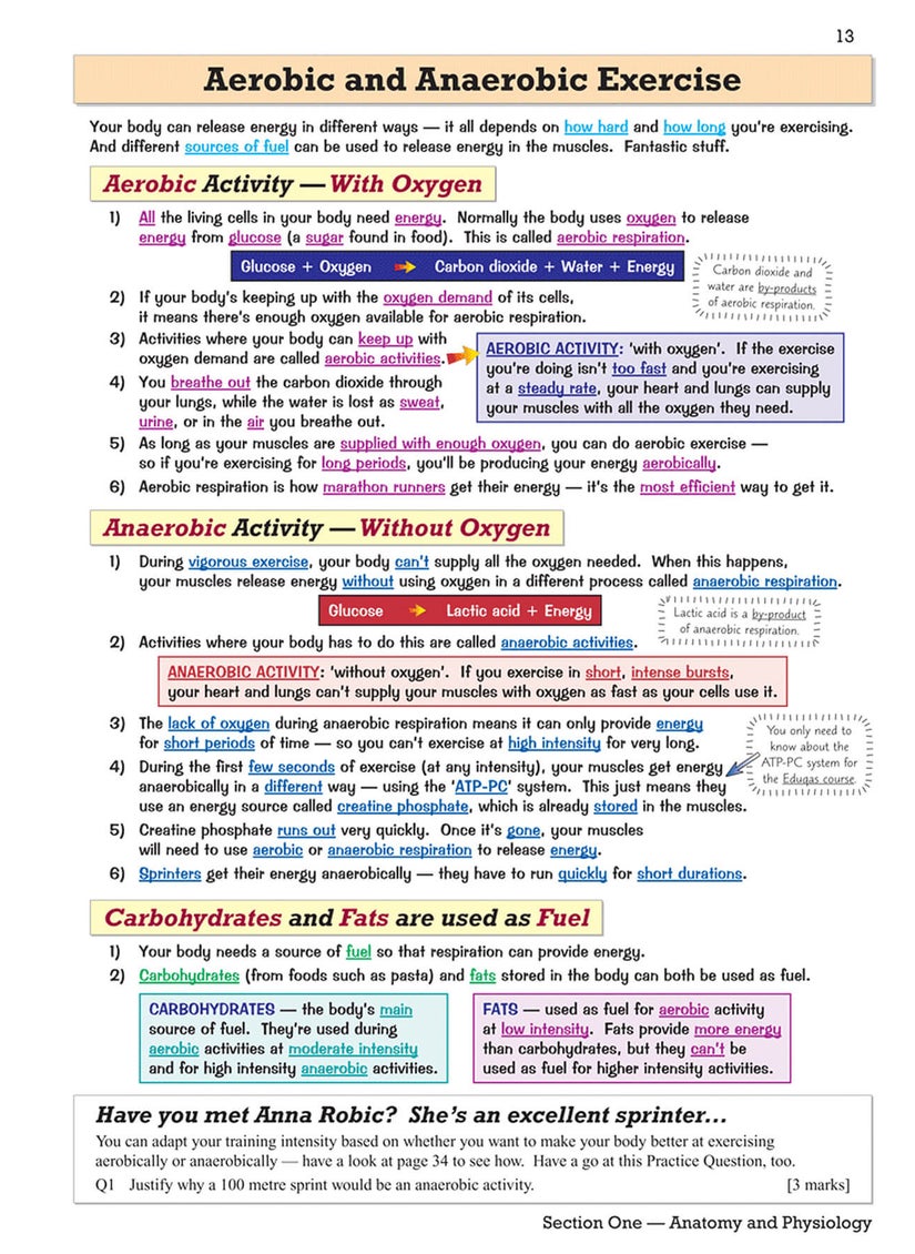 null - GCSE Physical Education Revision Guide - Image 1