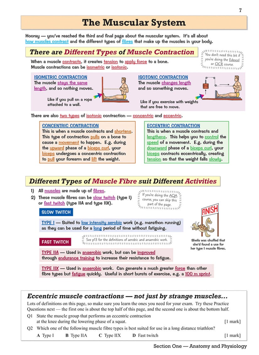null - GCSE Physical Education Revision Guide - Image 1