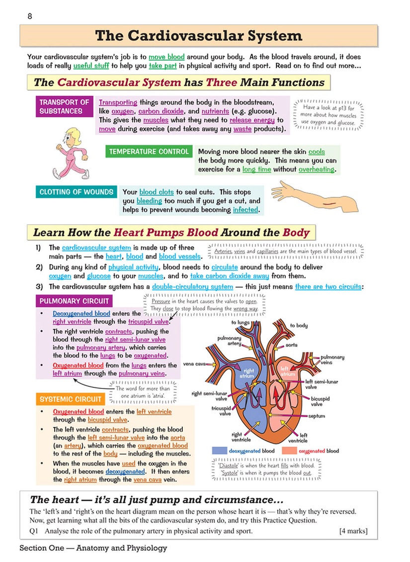 null - GCSE Physical Education Revision Guide - Image 1