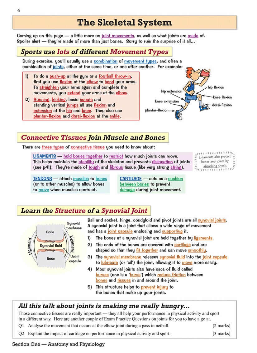 null - GCSE Physical Education Revision Guide - Image 1