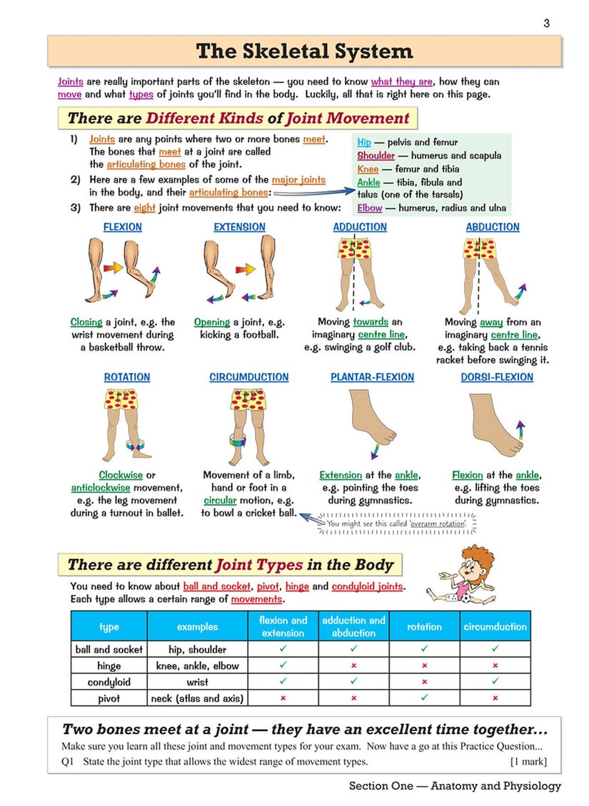 null - GCSE Physical Education Revision Guide - Image 1