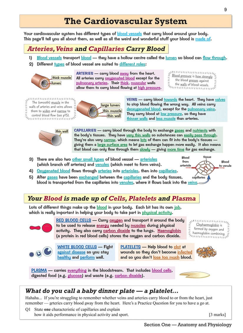 null - GCSE Physical Education Revision Guide - Image 1