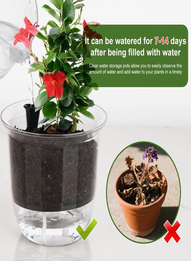 IWNTWY Plant Pots 6/5/4 inch Set of 3, Self Watering Pots for Indoor Outdoor Plants Flowers, Self Watering Planters with Reservoir, Drainage Hole and Absorbent Cotton Rope - Image 5