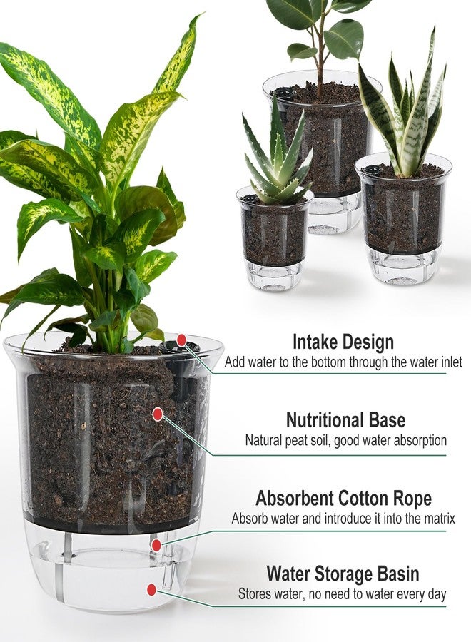 IWNTWY Plant Pots 6/5/4 inch Set of 3, Self Watering Pots for Indoor Outdoor Plants Flowers, Self Watering Planters with Reservoir, Drainage Hole and Absorbent Cotton Rope - Image 4
