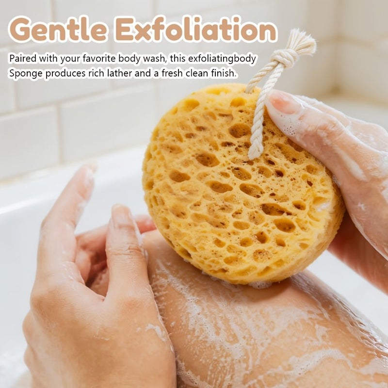 2 Pack Seaweed Exfoliating Sponge for Deep Cleansing Dead Skin Removal Bathing - Image 2