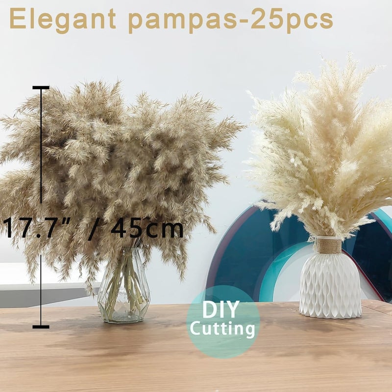 ROOLLYA 25 Stems Home Decor - Natural Dried Pampas Grass, Brown Pompas Grass, Dry Small Pampas Bulk for Living Room Table Decor, Boho Decor, Party Wedding Decor , Gift(17.7 inch, 20 Brown & 5 Female Pampas ) - Image 3