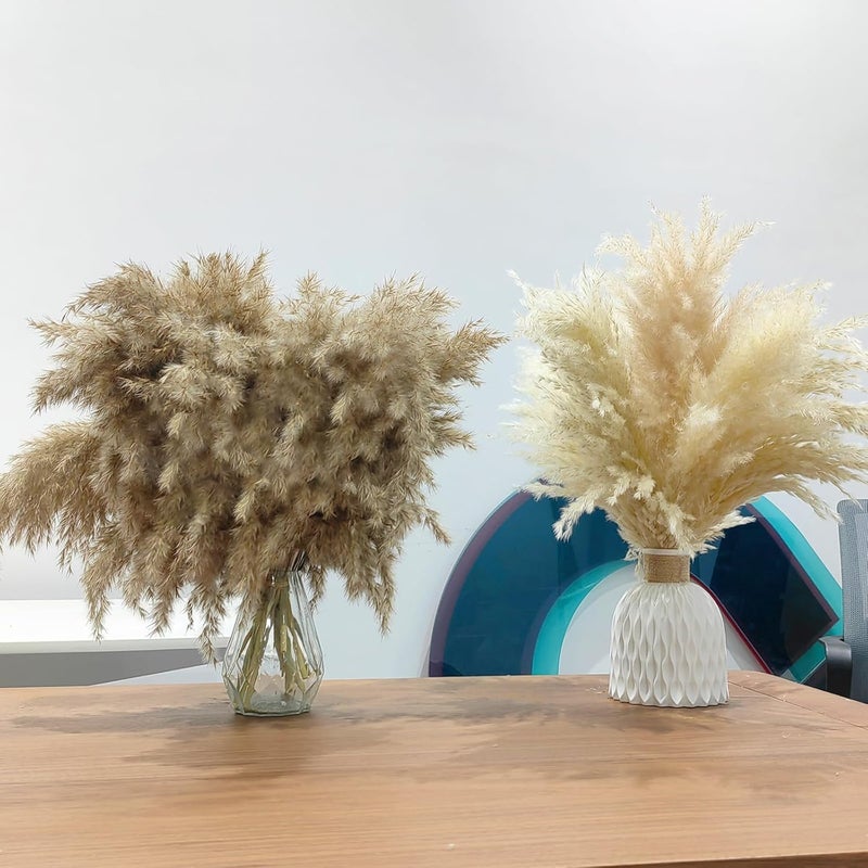 ROOLLYA 25 Stems Home Decor - Natural Dried Pampas Grass, Brown Pompas Grass, Dry Small Pampas Bulk for Living Room Table Decor, Boho Decor, Party Wedding Decor , Gift(17.7 inch, 20 Brown & 5 Female Pampas ) - Image 1