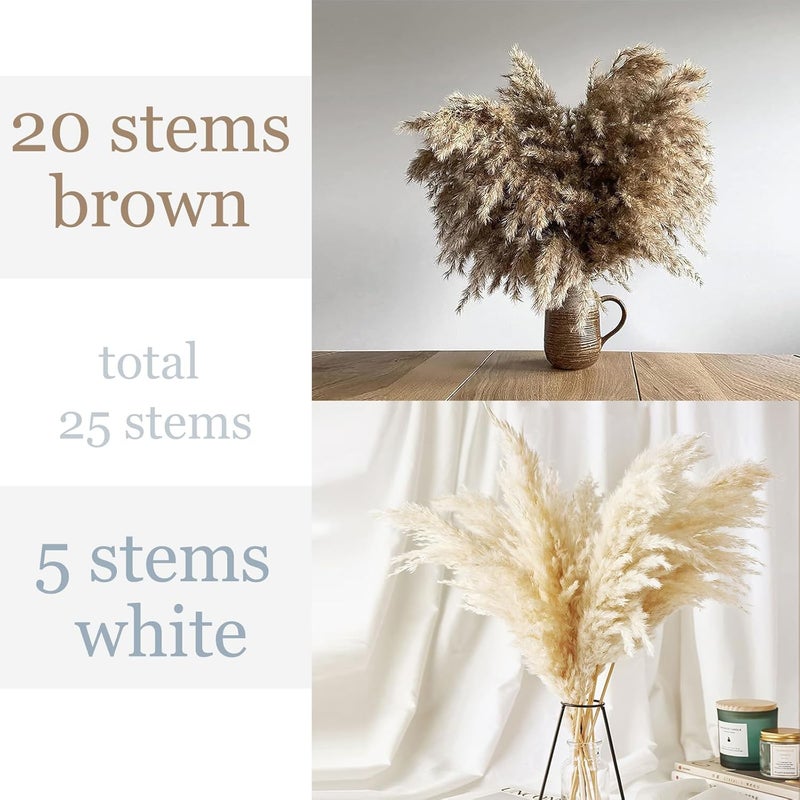 ROOLLYA 25 Stems Home Decor - Natural Dried Pampas Grass, Brown Pompas Grass, Dry Small Pampas Bulk for Living Room Table Decor, Boho Decor, Party Wedding Decor , Gift(17.7 inch, 20 Brown & 5 Female Pampas ) - Image 2