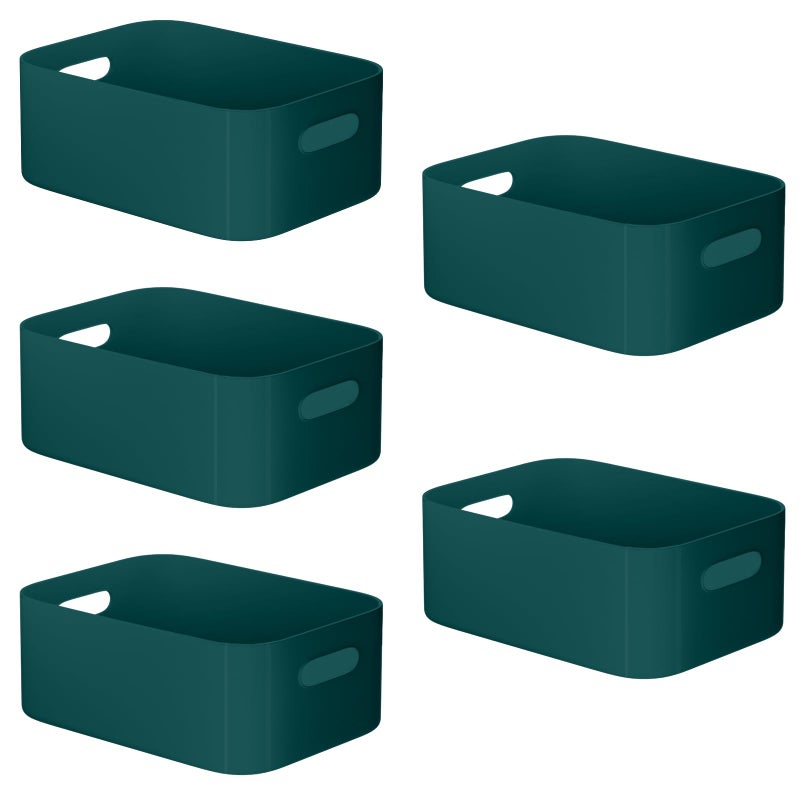 WH 5 PCS Plastic Storage Boxes Medium Plastic Storage Baskets with Handle Home  Kitchen Cupboard Boxes Organizer Baskets for Bathroom Shelf Office  251710cm Blue