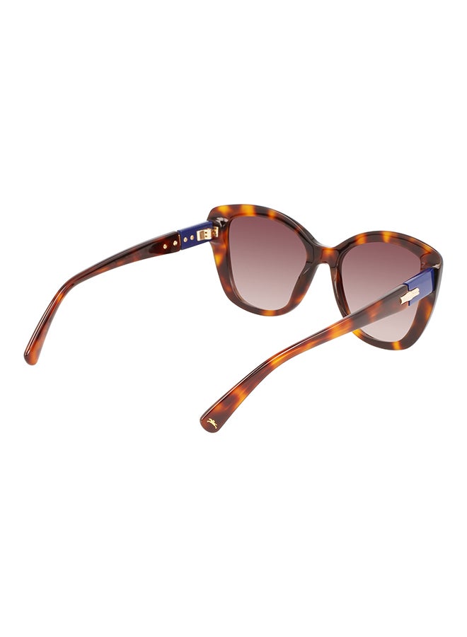Longchamp نظارة شمسية بإطار الفراشة للحماية من الأشعة فوق البنفسجية للنساء - LO714S-230-5419 - مقاس العدسة: 54 ملم  - Image 5