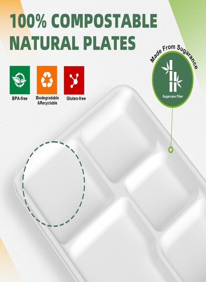WELLIFE 100% Compostable 5 Compartment Paper Plates, 10.25 * 8.25 Inch 125 Pack Heavy Duty Divided Disposable School Lunch Trays, Eco-Friendly Bagasse Plates for Boys, Girls and Youth (BPA Free) - Image 4