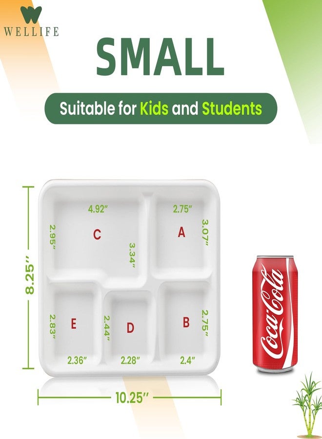 WELLIFE 100% Compostable 5 Compartment Paper Plates, 10.25 * 8.25 Inch 125 Pack Heavy Duty Divided Disposable School Lunch Trays, Eco-Friendly Bagasse Plates for Boys, Girls and Youth (BPA Free) - Image 2