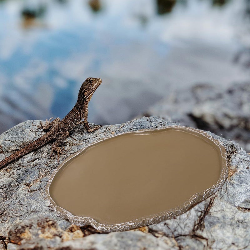 2 Pcs Resin Reptile Water And Food Feeding Bowls For Tortoises And Lizards Terrarium Pet Dishes - Image 4