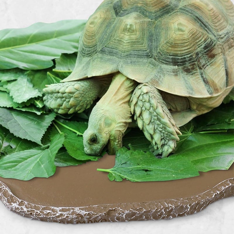 2 Pcs Resin Reptile Water And Food Feeding Bowls For Tortoises And Lizards Terrarium Pet Dishes - Image 5