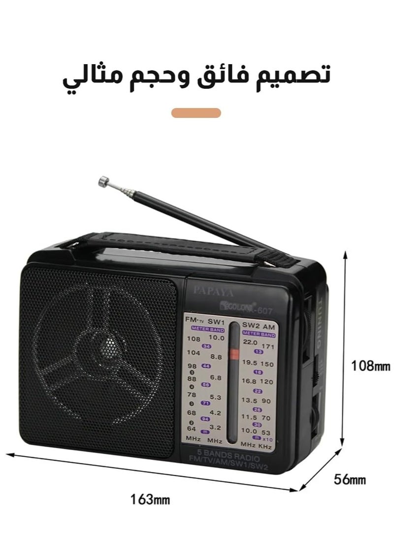 راديو كلاسيكي جولون يعمل بالكهرباء 4 نطاقات AM FM SW1 SW2 RX-606AC أسود - pzsku/Z064519CD48975AD898A7Z/45/_/1729613240/4136f184-ed45-4cb9-ab06-0207e0523e7b