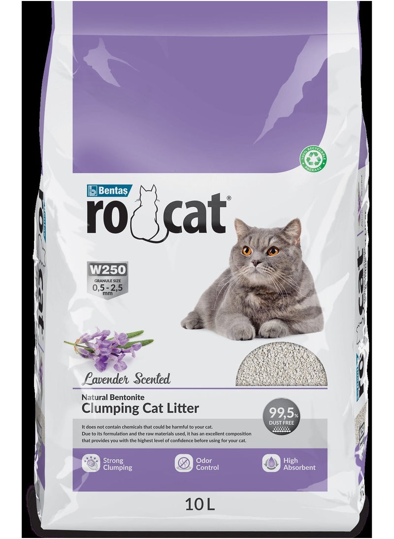 White bentonite cat litter lavander scented - pzsku/Z064609DFD01BE8949D56Z/45/_/1684231531/d6470840-2e7e-4ab2-b4f9-50f99ba76cda