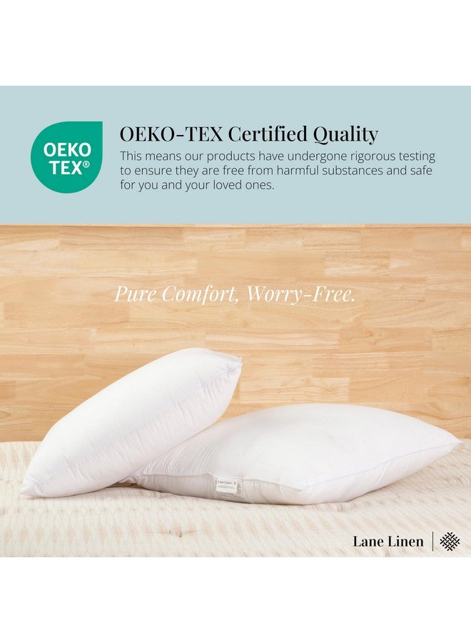 LANE LINEN LANE LINEN 20x20 Pillow Inserts - Set of 2 Lightweight Down Alternative Square Pillows, White Throw Pillows for Bed, Decorative Pillows for Couch Bed, Firm Pillows for Living Room - Image 5