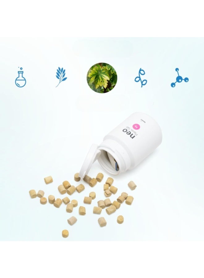 Neon Plants Root Tab Fe (Iron) – Planted Aquarium Fertilizer - Image 2