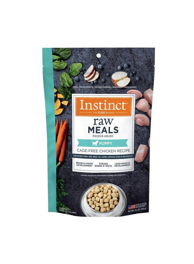 غريزة وجبات إنستينكت بابي النيئة المجففة بالتجميد، طعام كلاب جاف طبيعي، خالي من الحبوب - دجاج بدون قفص، كيس 9.5 أونصة - Image 1