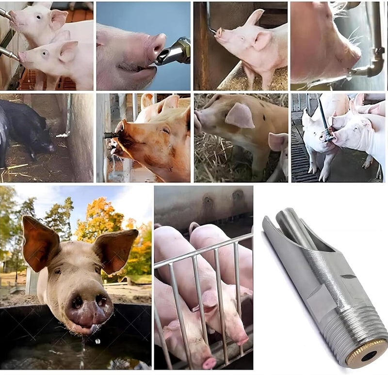 Automatic Swine Water Dispenser Set of 10 Shutoff Function Minimal Care Stainless Steel Livestock Accessories - Image 2