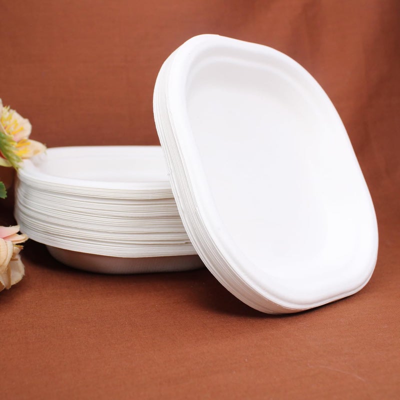 FULLY Small Food Serving Paper Plates for Snacks EcoFriendly Disposable Plates for Birthday Marriage Travel Office Events and Festival Use100 Pcs - Image 1