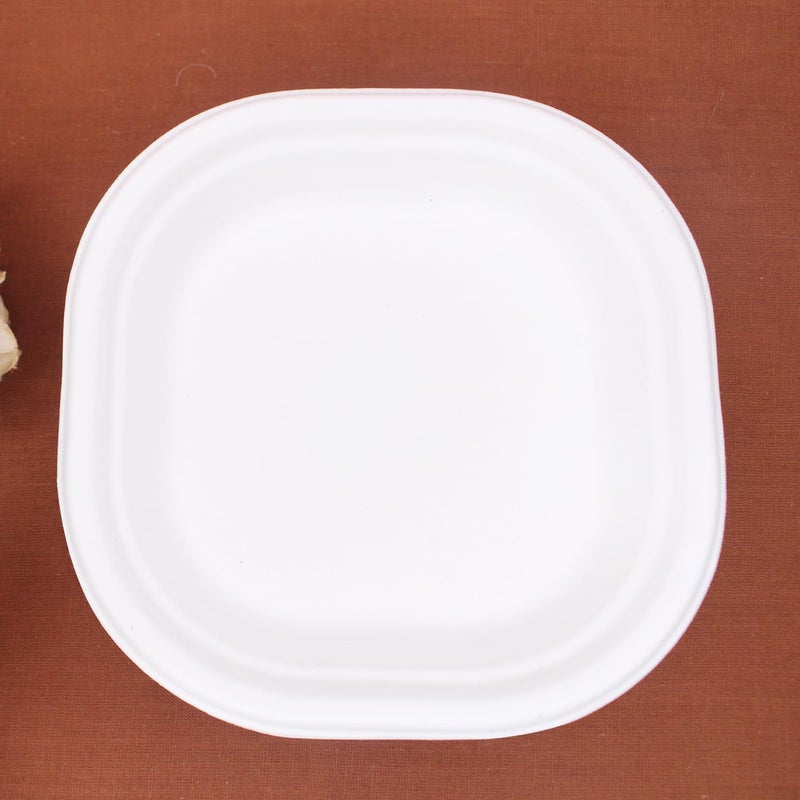 FULLY Small Food Serving Paper Plates for Snacks EcoFriendly Disposable Plates for Birthday Marriage Travel Office Events and Festival Use100 Pcs - Image 3
