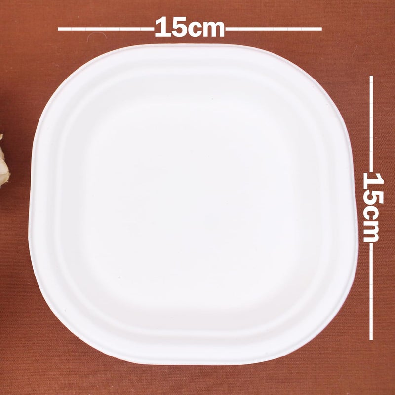 FULLY Small Food Serving Paper Plates for Snacks EcoFriendly Disposable Plates for Birthday Marriage Travel Office Events and Festival Use100 Pcs - Image 2