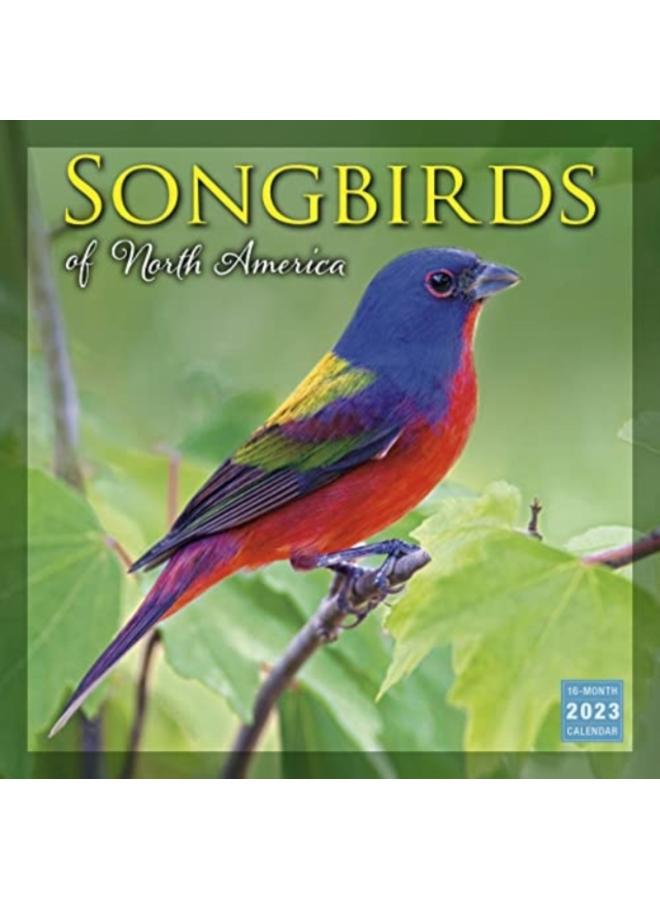 SONGBIRDS OF NORTH AMERICA 