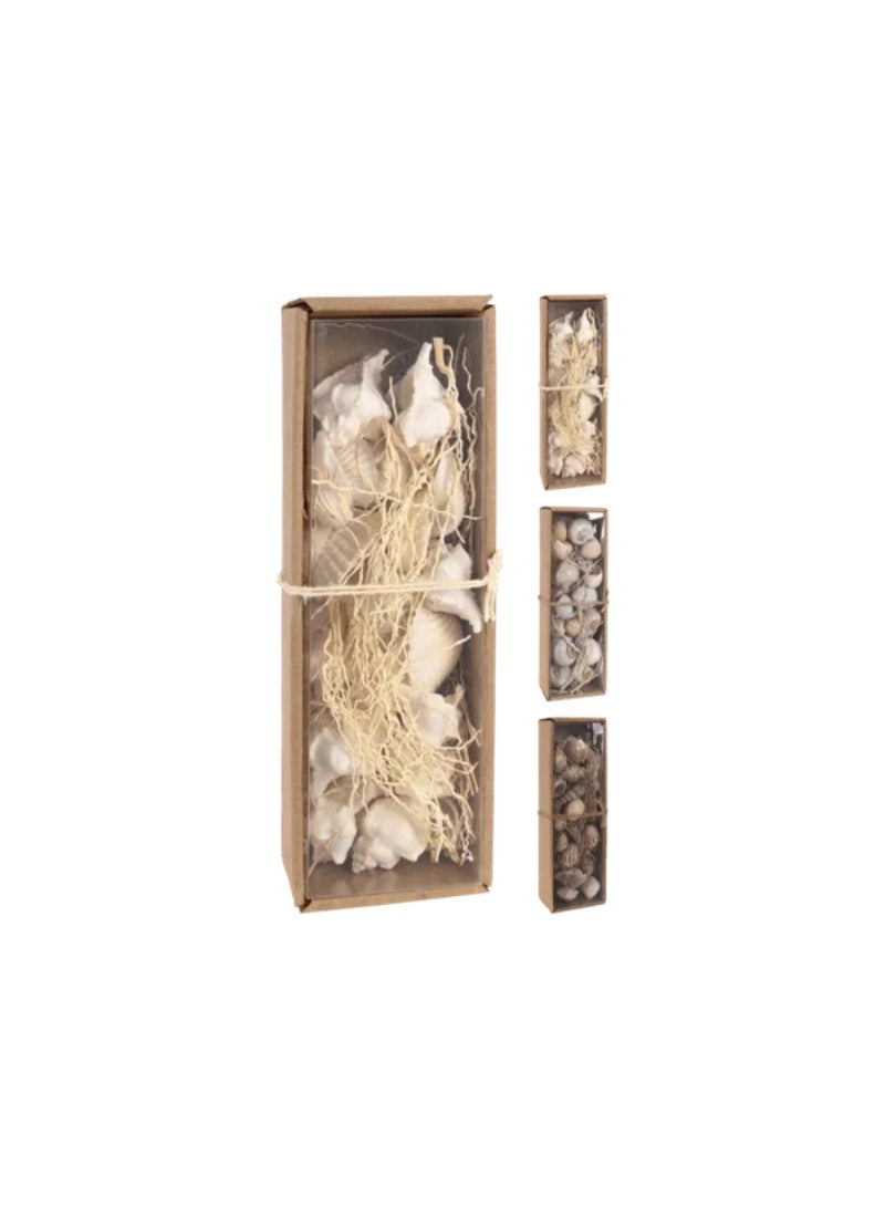 Koopman Elegant and Decorative Wall Decor Shells Assorted Color D22702020