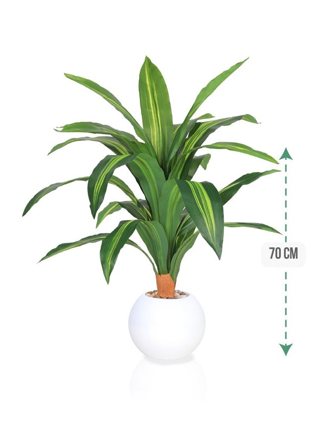 DRAMA HOME Artificial Decorative Tree, 70 cm Tall – A Touch of Nature with Lasting Elegance  - Image 1