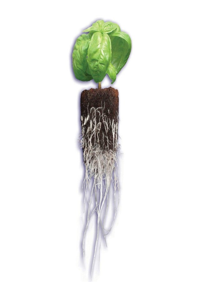 General Hydroponics Rapid Rooter, Starter Plug for Seeds or Cuttings, Great for Soil or Hydroponics Growing System, 50 Plugs - Image 5